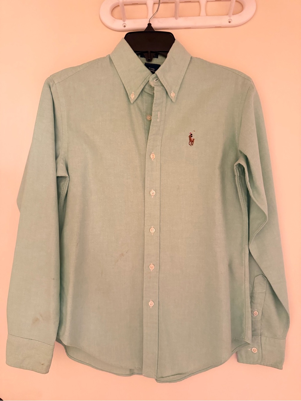 Polo by Ralph Lauren Light Green Button-Down Shirt